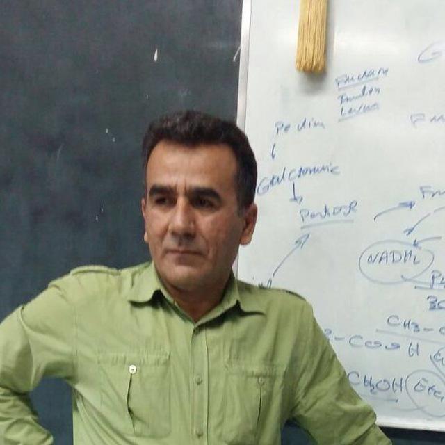  مختار خواجوی